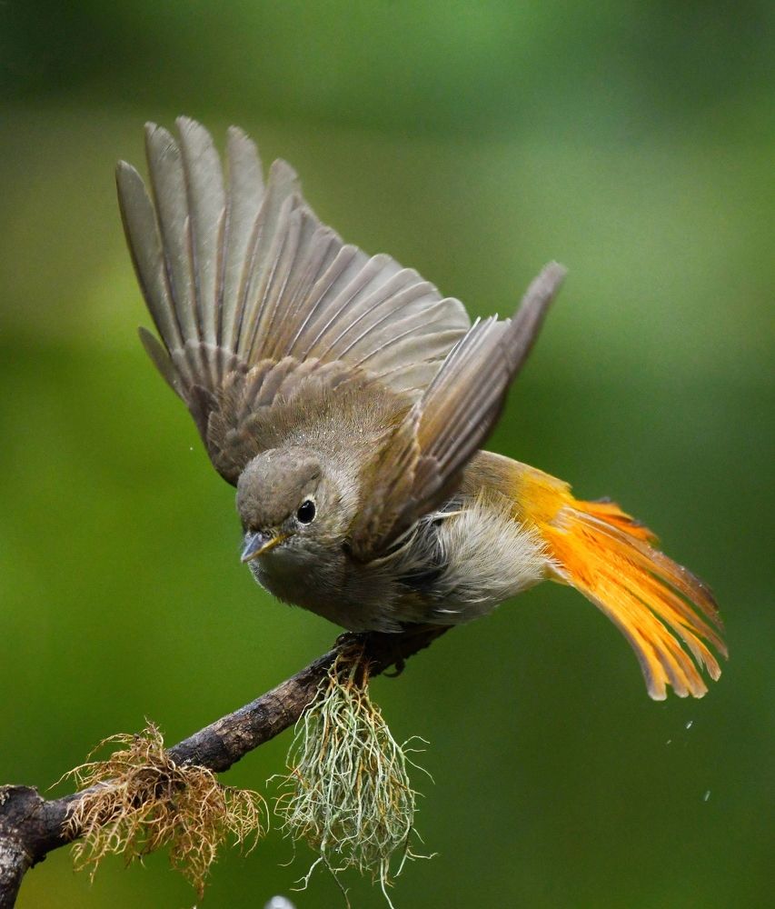 Photograph by George S George