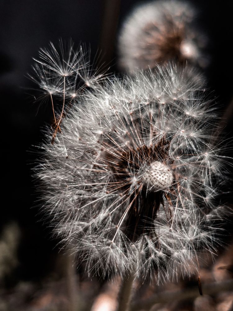 Photograph by Сергей Степаненко