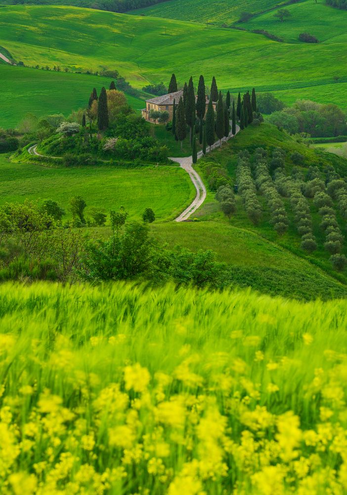 Photograph by Alexandru Pavel