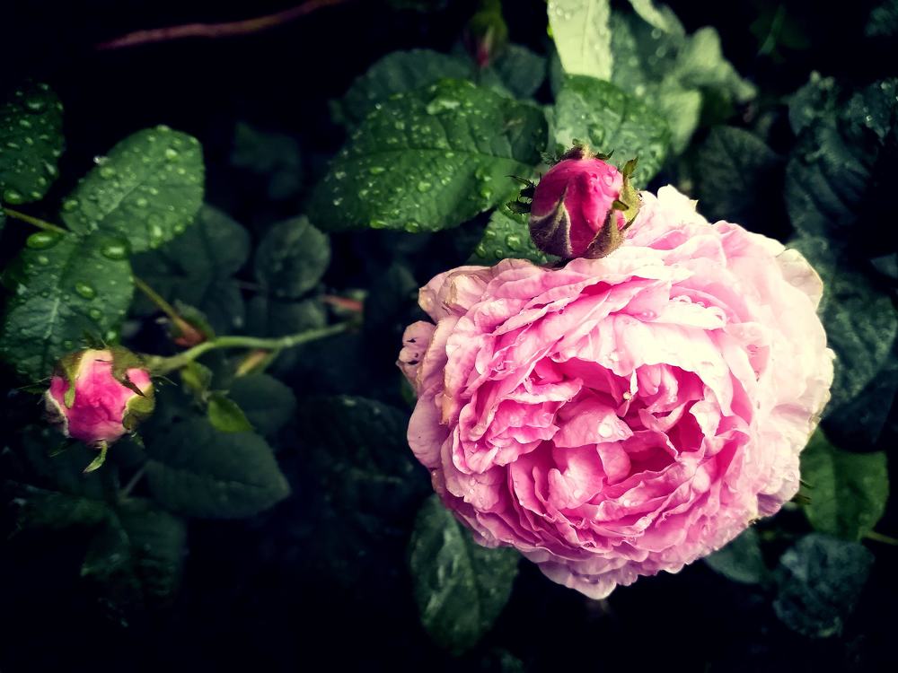 Photograph by Наталья Николаева
