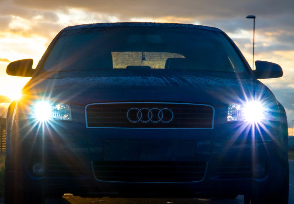 Фотография автора Petar Metić