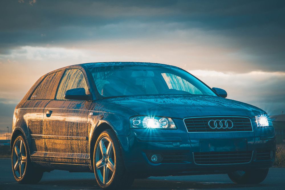 Фотография автора Petar Metić