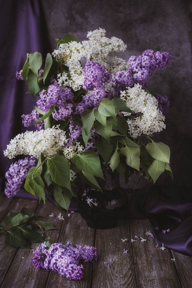 Photograph by Наталья Горохова