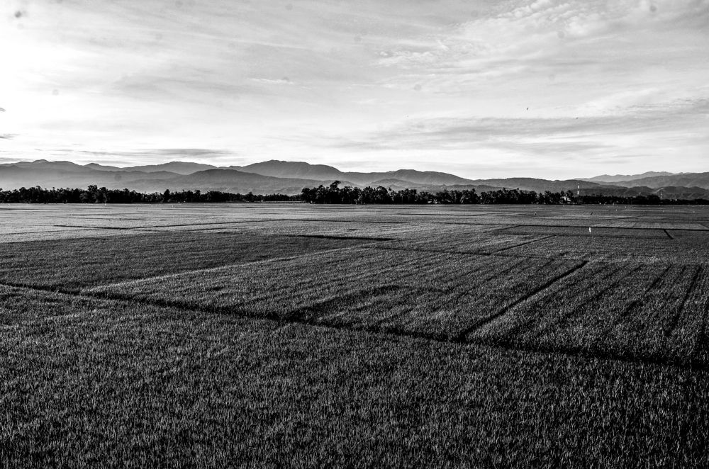 Фотография автора photograph Umar abdi