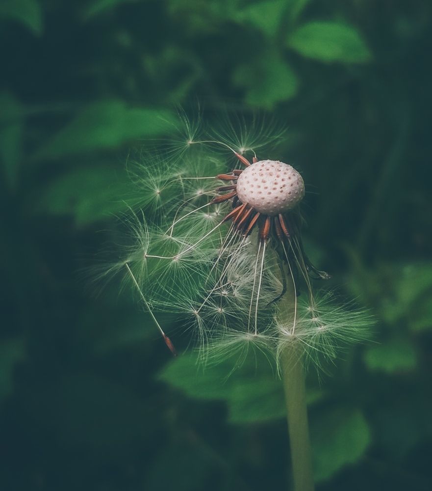 Photograph by Заур Бозиев