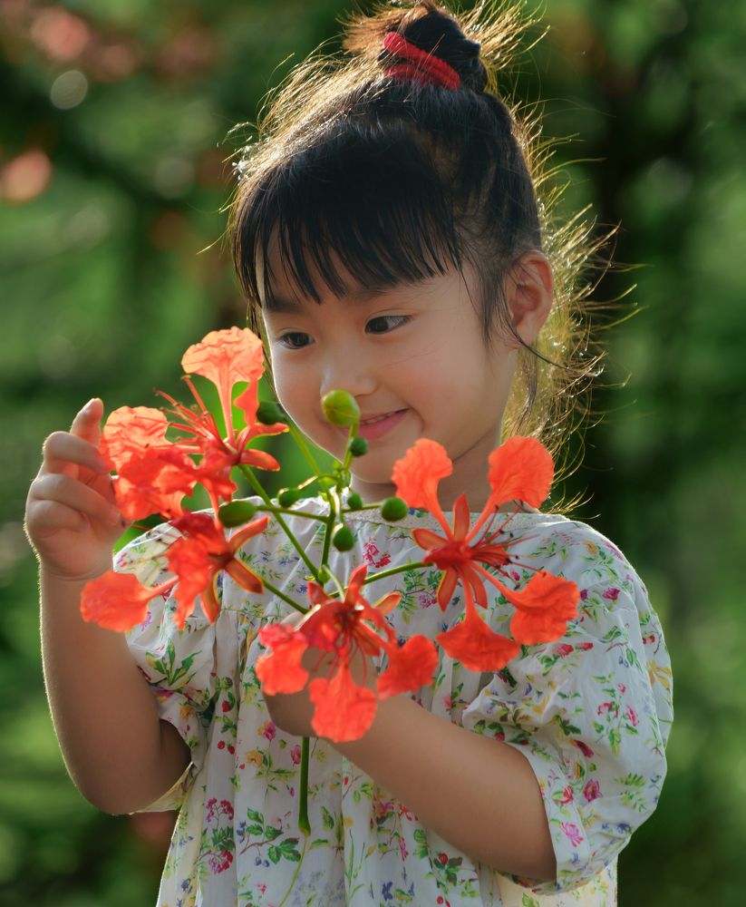 blooming phoenix season