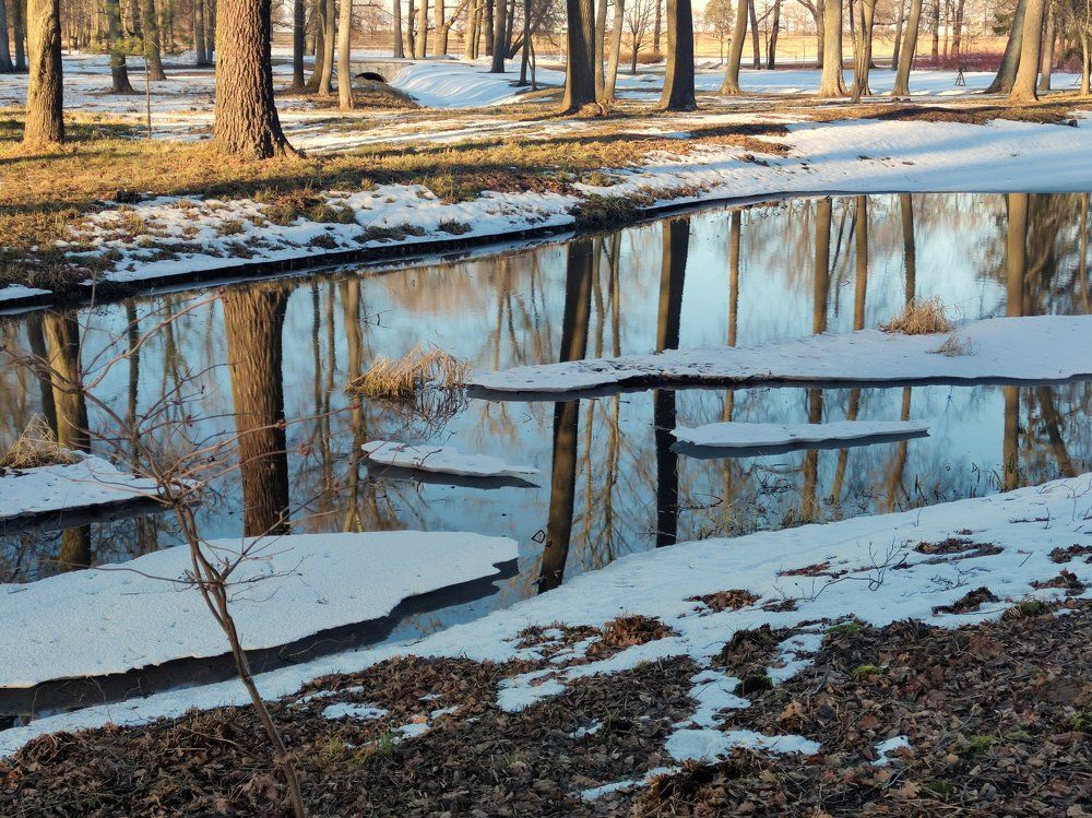 Photograph by Andrius