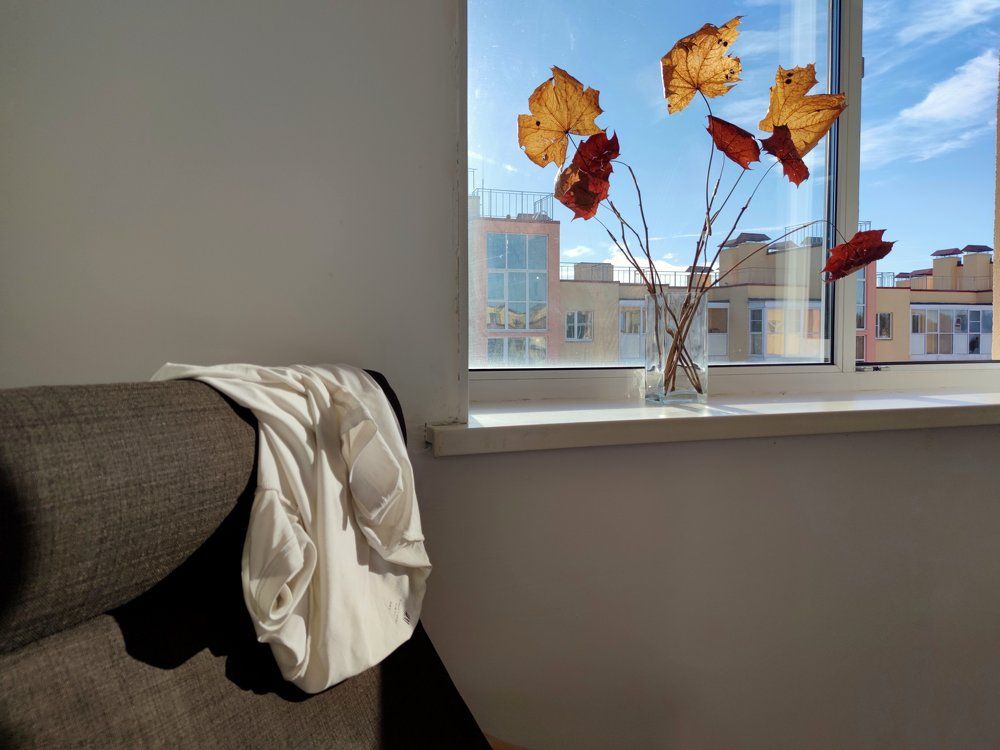 Photograph by Andrius