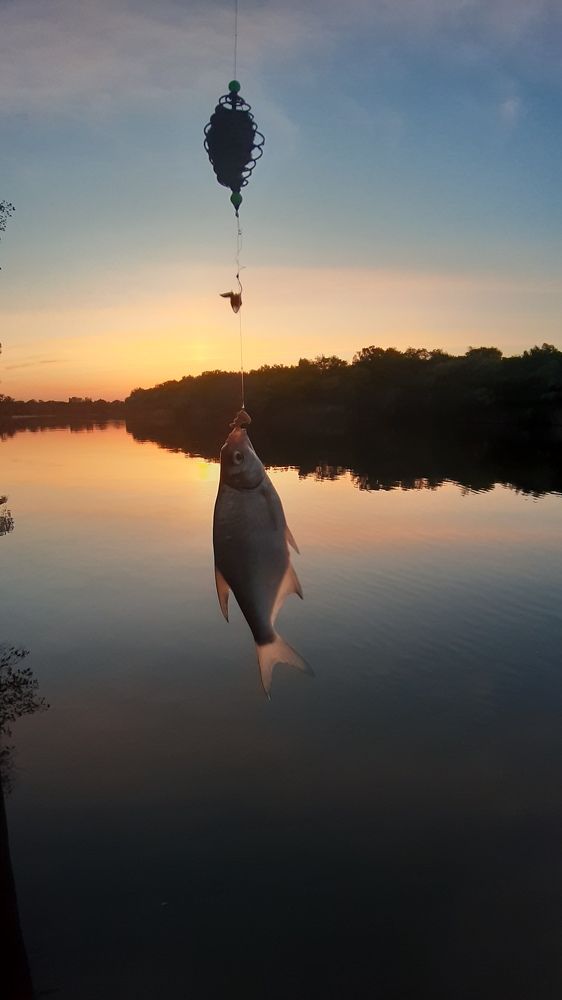 Photograph by Светлана Войта