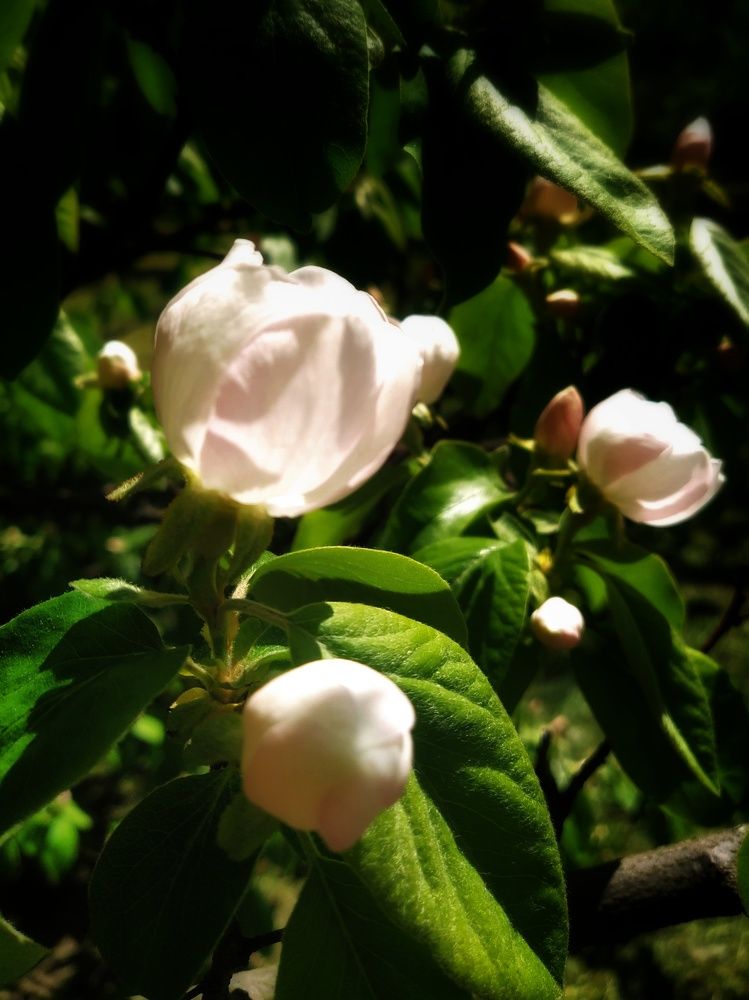 Фотография автора Гвоздецкая Анна