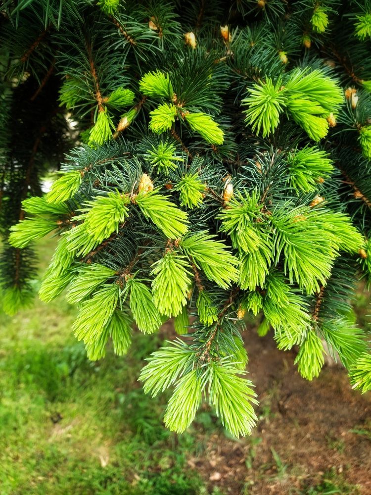 Фотография автора Гвоздецкая Анна