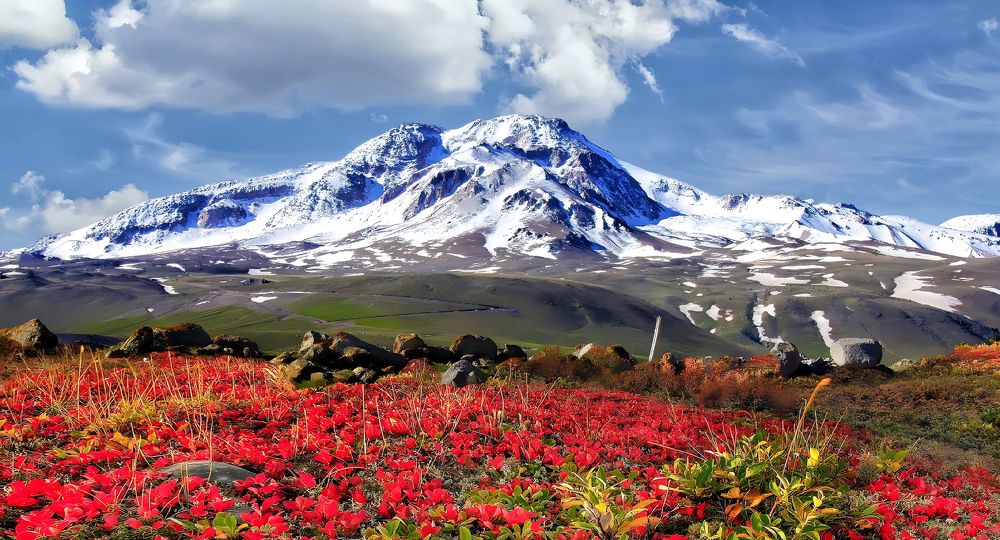 Фотография автора Maghsoud Moradi