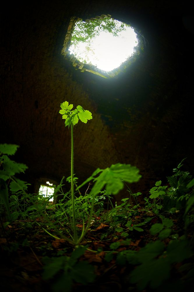 Не сдавайся