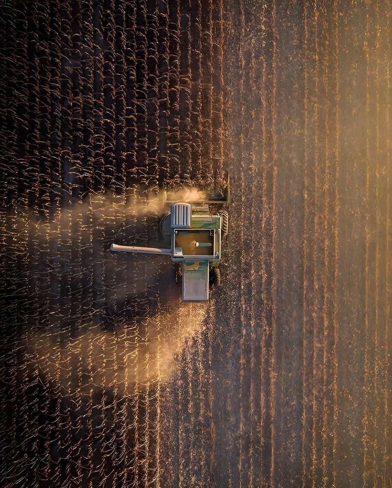 Harvest time in Mardin