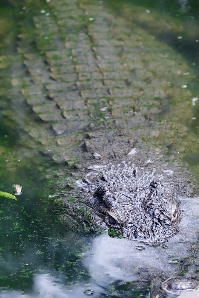 Photograph by Audifax Ngezahayo