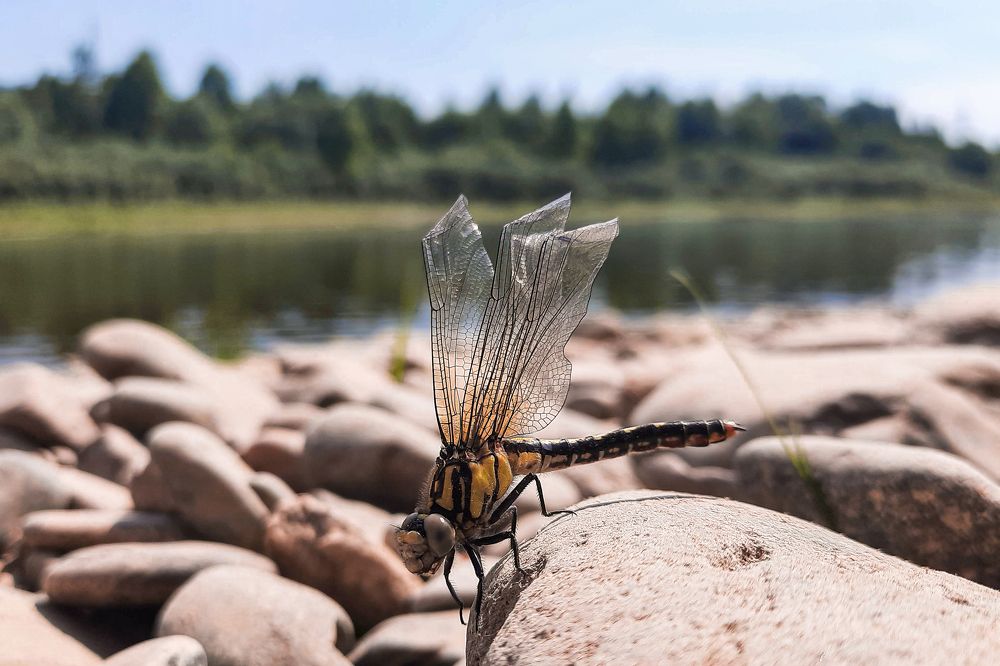 Photograph by Ксения Моськина