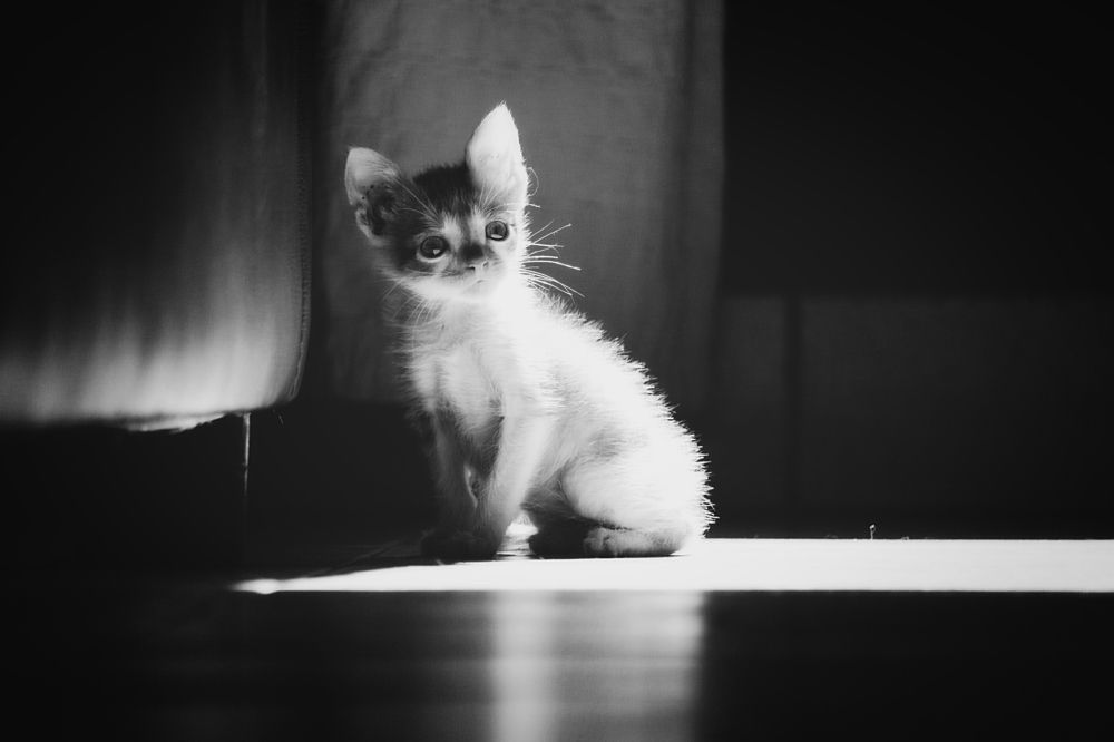 Photograph by Marcelo Bolado