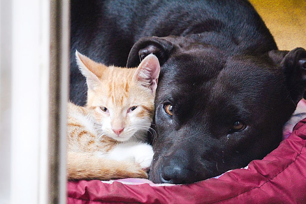 Photograph by Marcelo Bolado