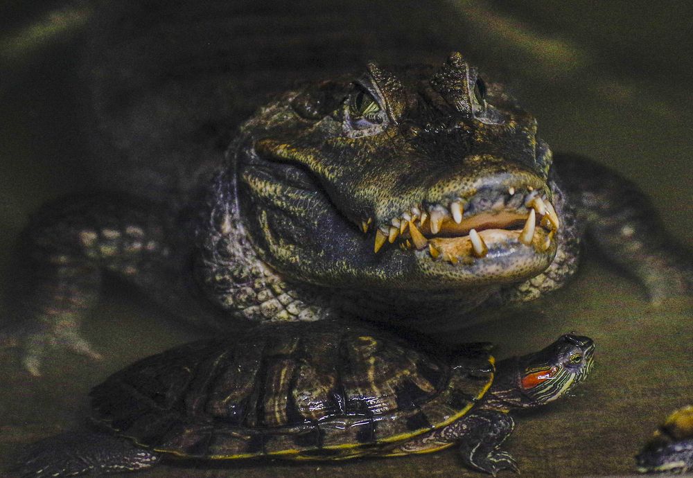 Photograph by Михаил Измайлов