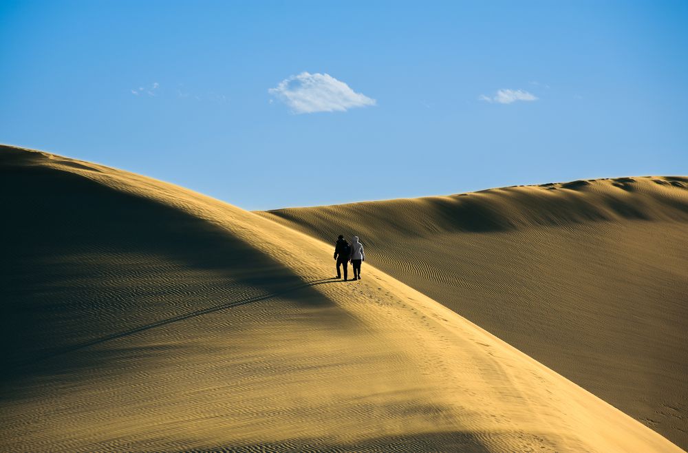 Photograph by mohammad aref zohrabi