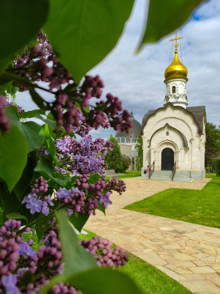 Photograph by Марина Бедрина