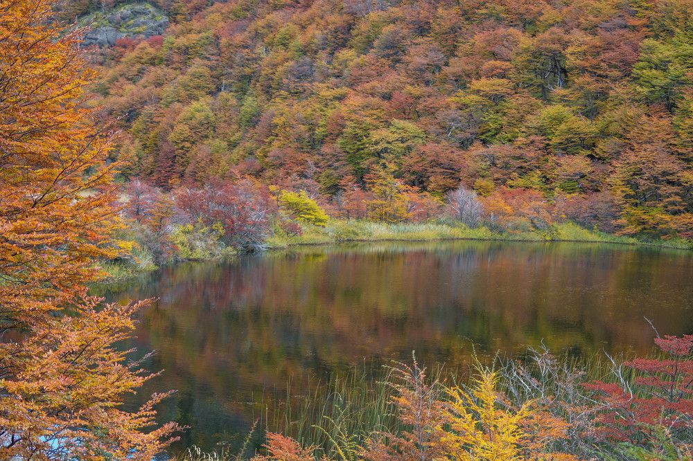 Photograph by Karina Elena Bergagna