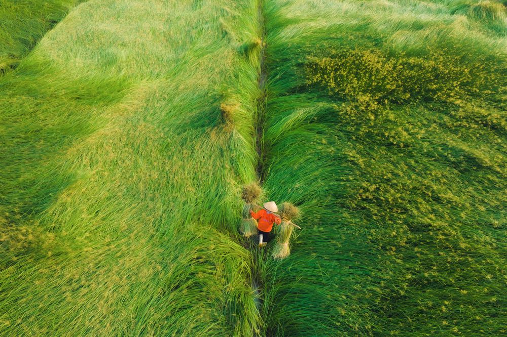 Photograph by Nguyen Ngoc Tuan