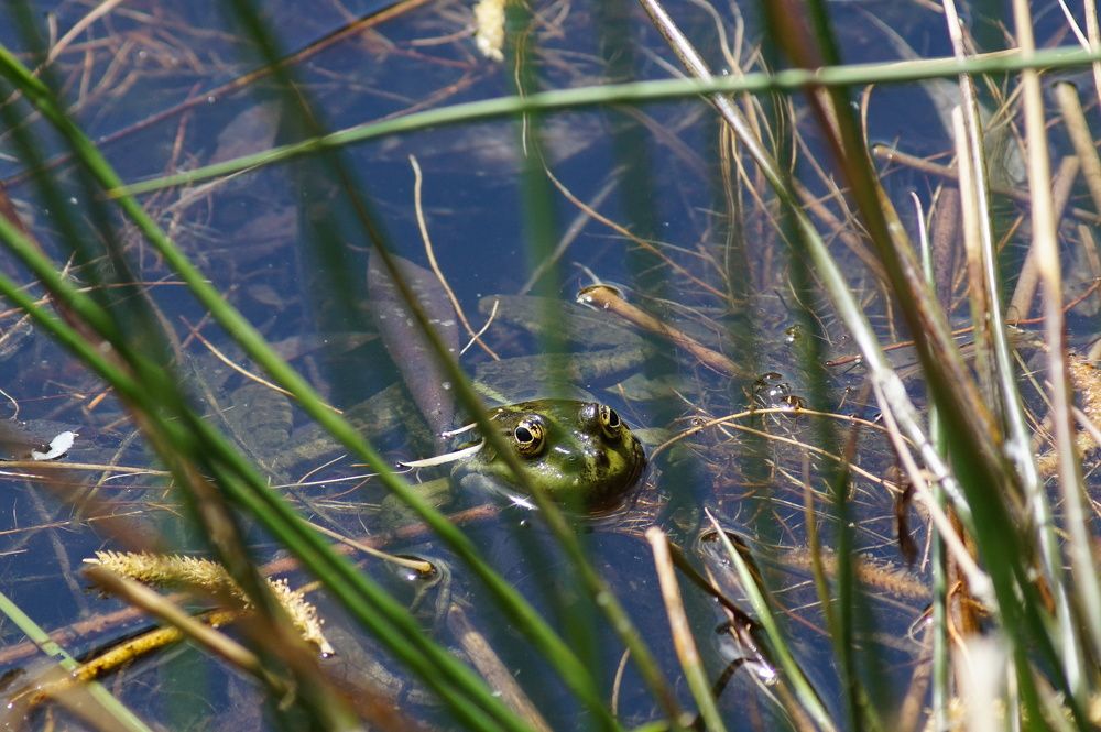 Photograph by Andreas Koff