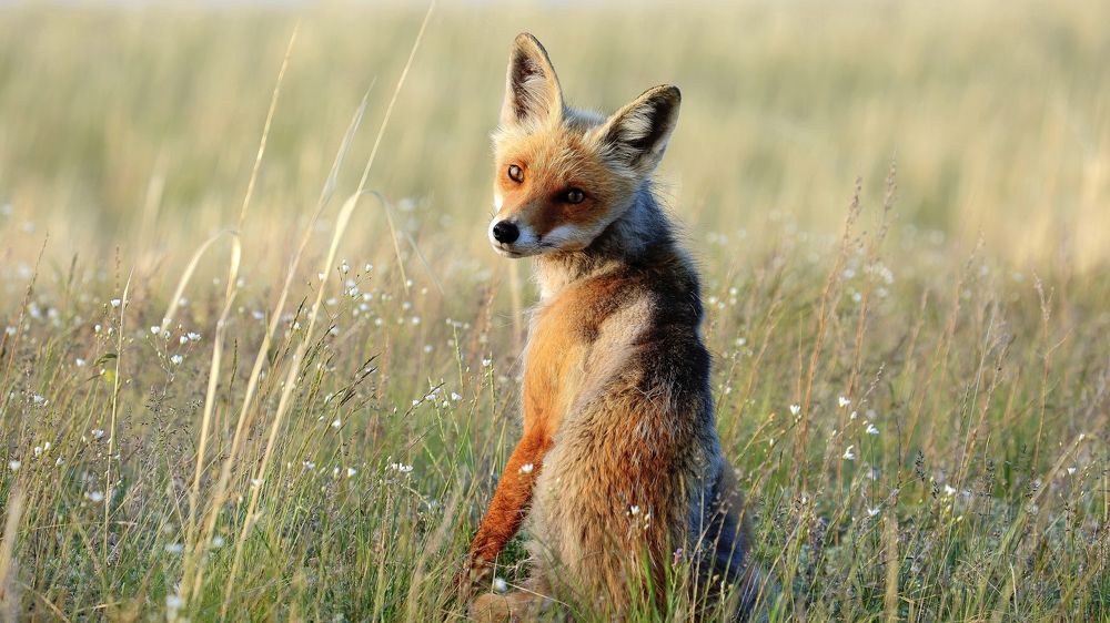 Photograph by Сергей Жданов