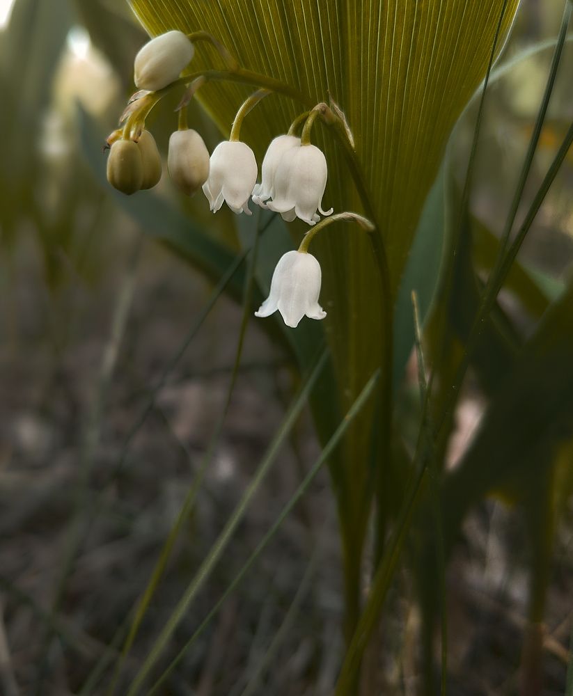 Photograph by Сергей Горелов