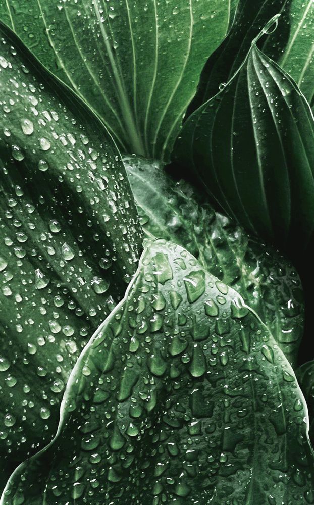 Photograph by Oxana Petlina