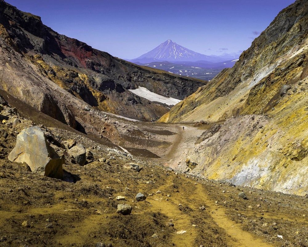 Фотография автора Татьяна Добровольская
