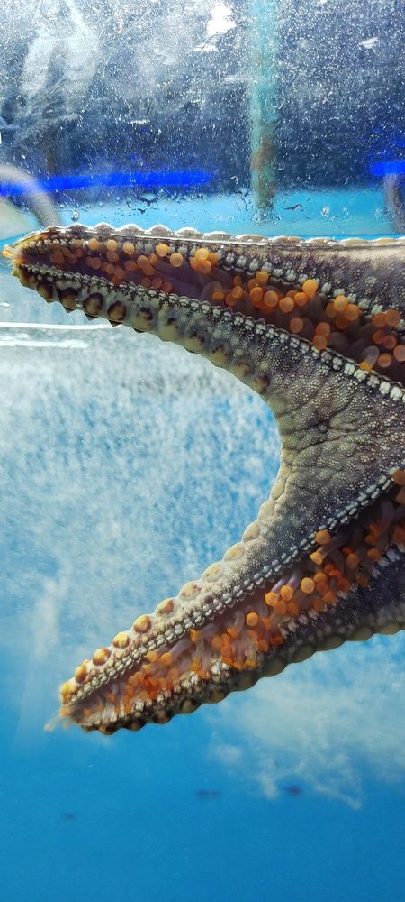 Photograph by Balaji Murapaka