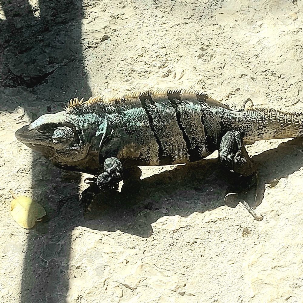 Photograph by Фролова Светлана