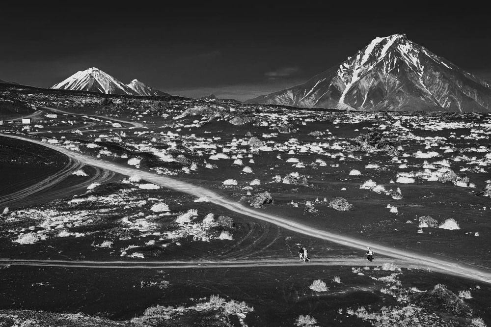 Фотография автора Татьяна Добровольская