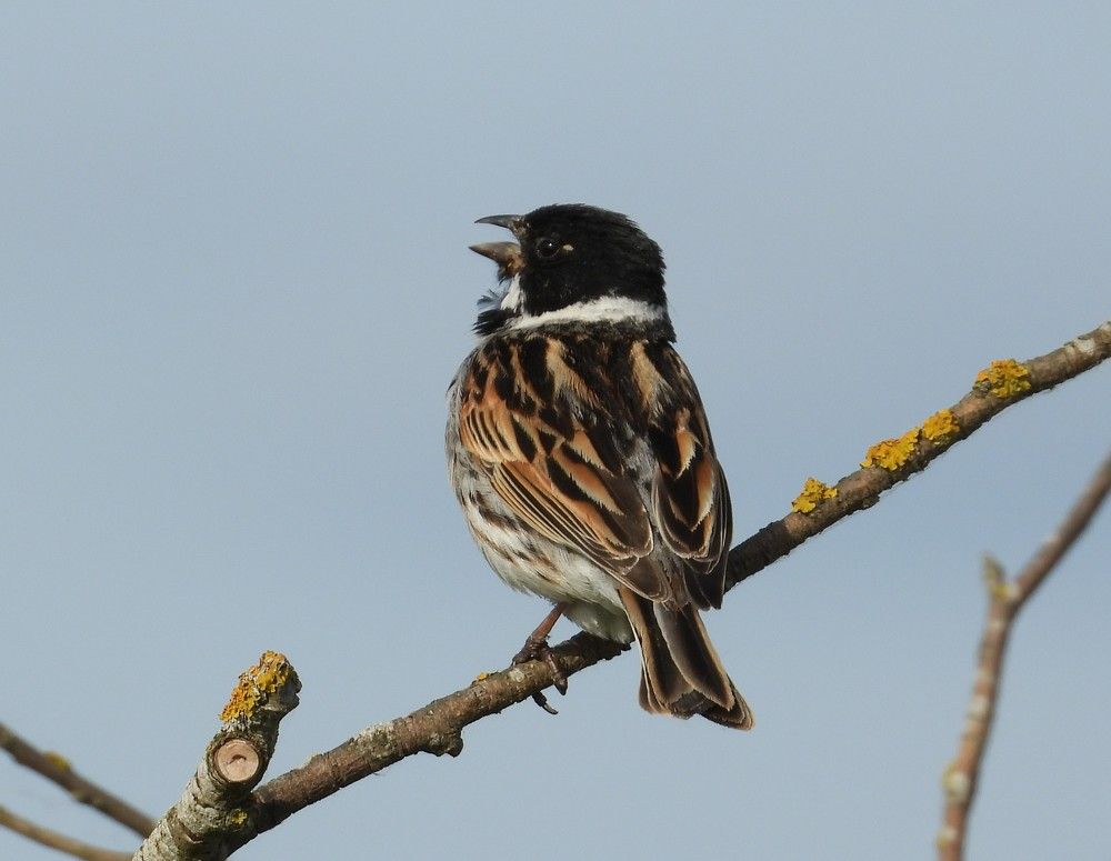 Photograph by Владимир Джерихов
