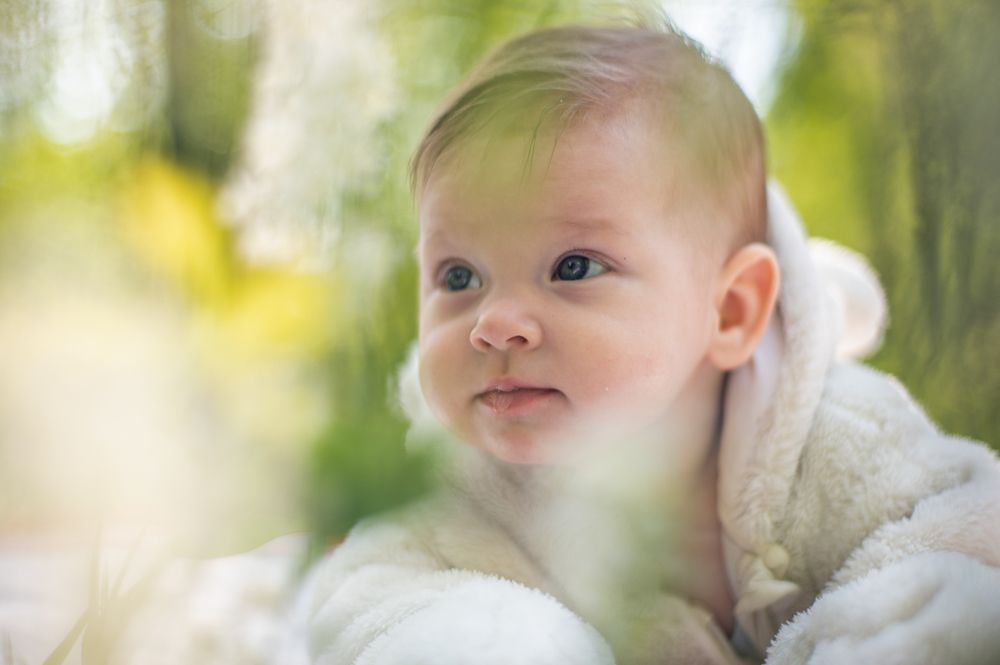 Photograph by Adler Roman