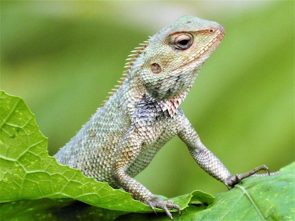 Photograph by Rajeev Sinha