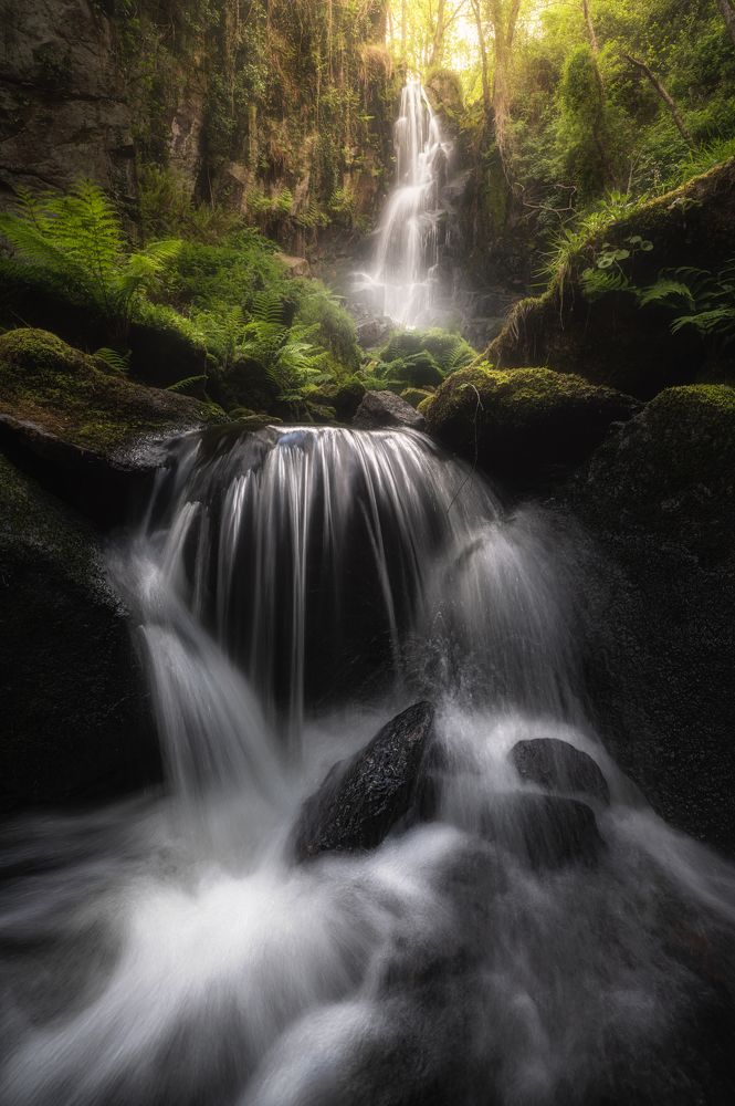 Фотография автора Edén Israel Sánchez Fernández