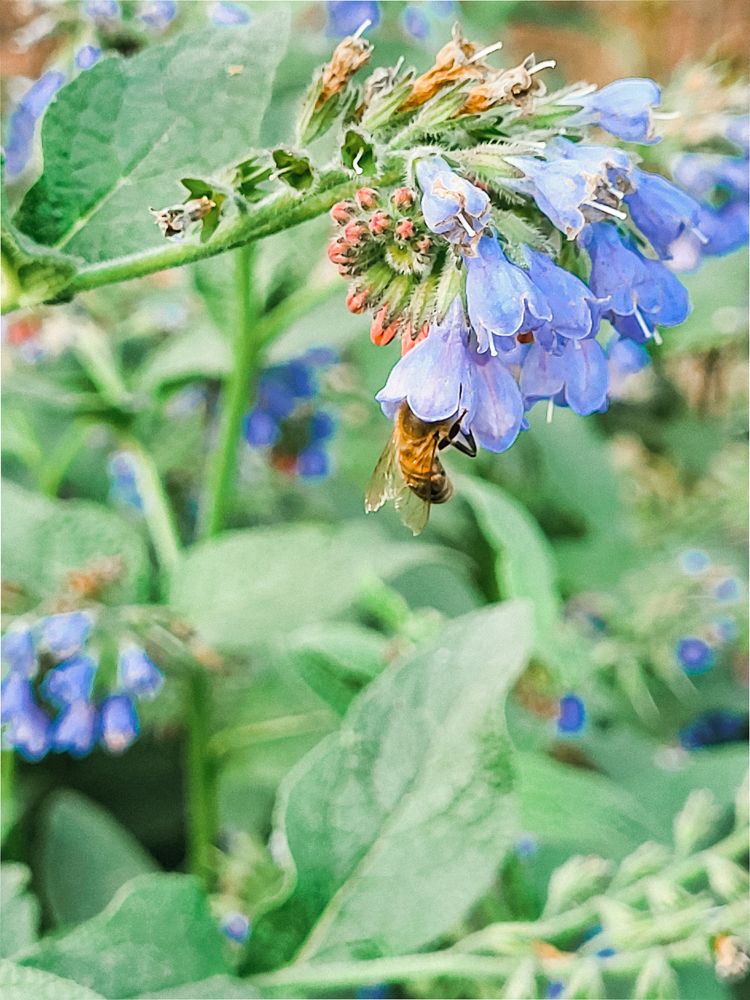 Photograph by Elizabeth Kabatskova