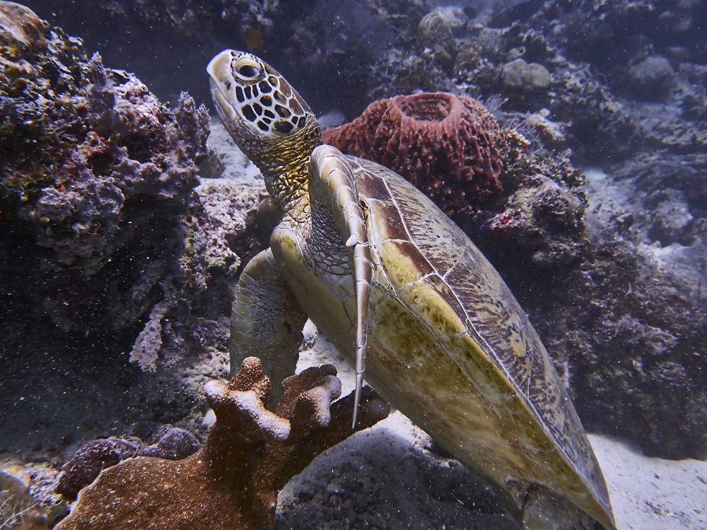 Photograph by Дмитрий