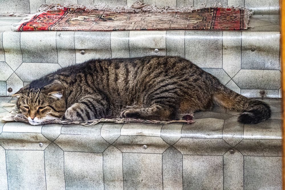 Photograph by Кирилл Шарапов