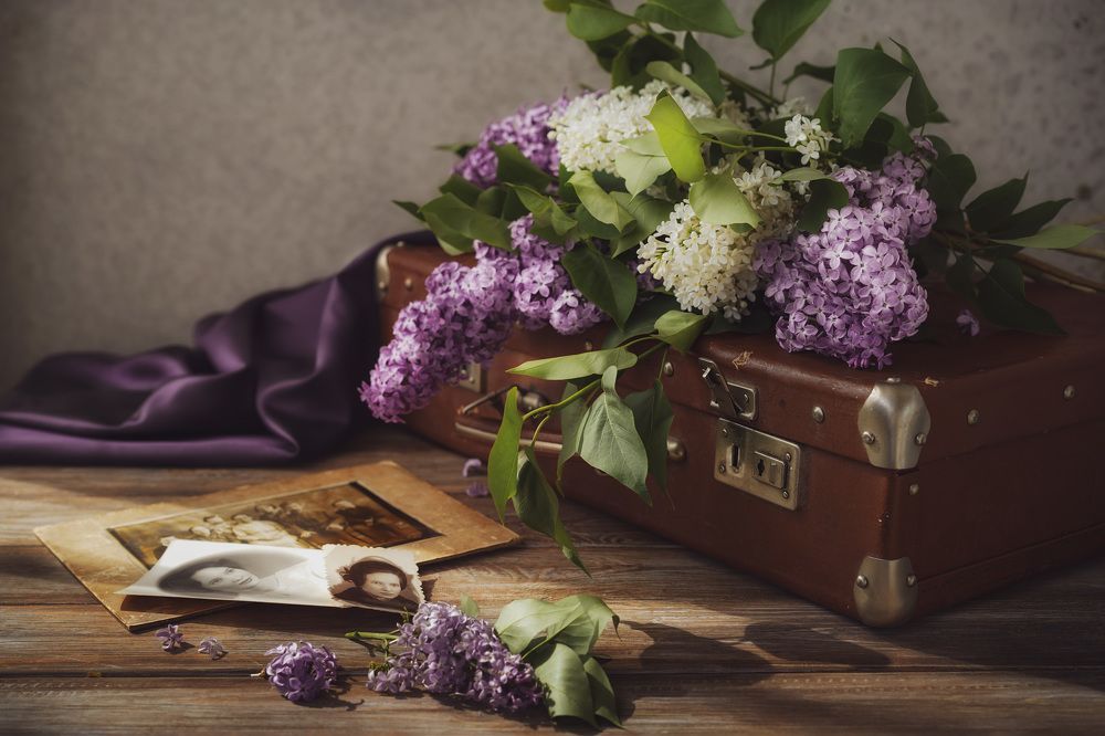 Photograph by Наталья Горохова