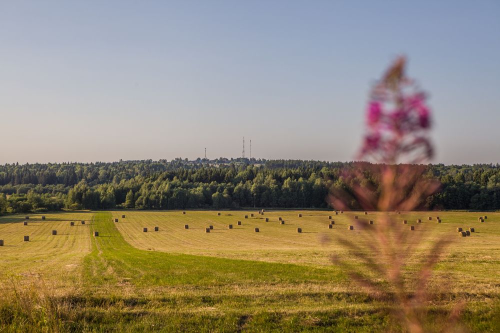 Photograph by Вячеслав