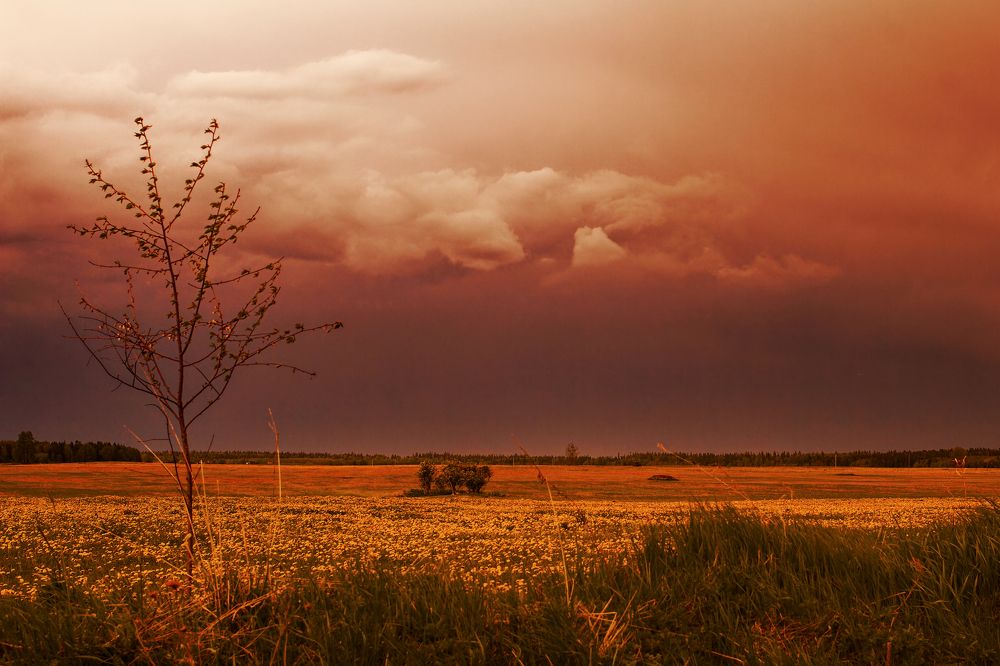 Photograph by Юлия Зубкова