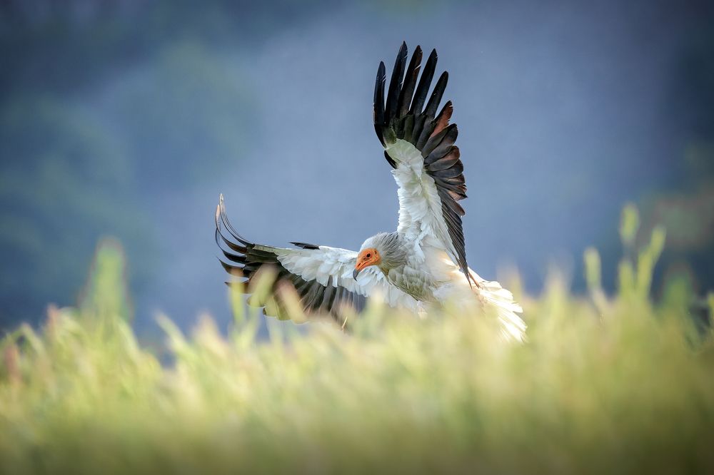 Photograph by Lyubomir Momchilov