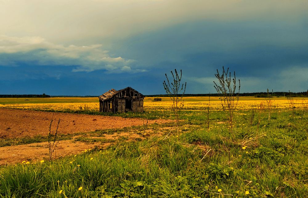 Photograph by Андрей Соколов