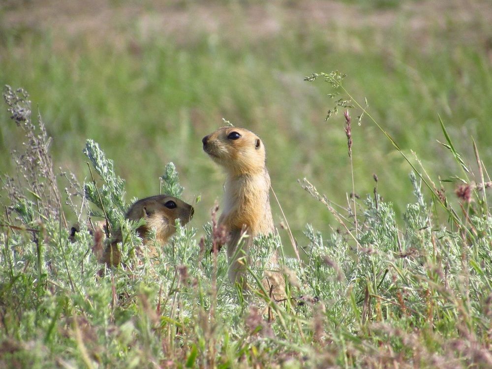 Photograph by Денис Веску