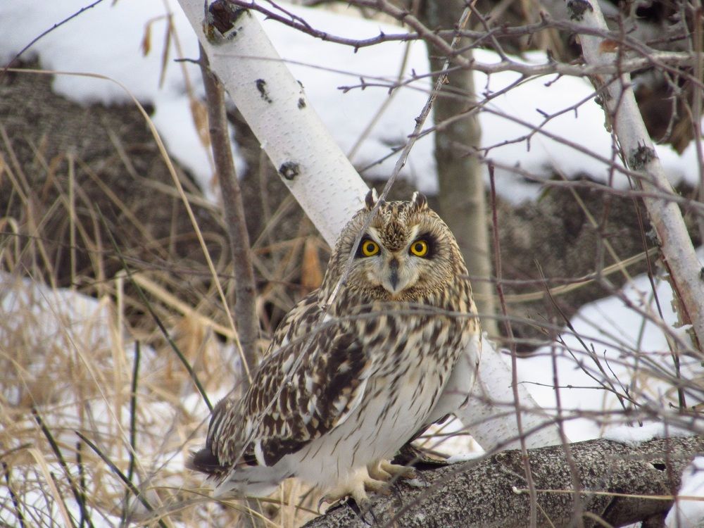 Photograph by Денис Веску