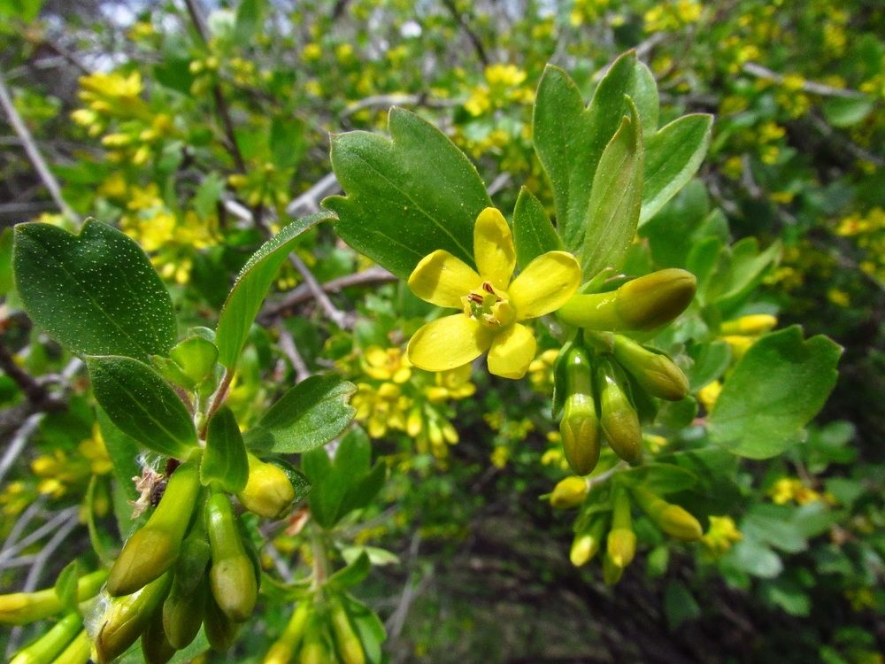 Photograph by Денис Веску